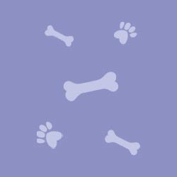 farbe-a-hunde-socken