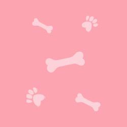 farbe-aa-hunde-socken