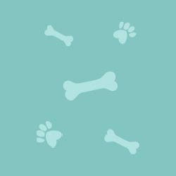 farbe-aaaa-hunde-socken